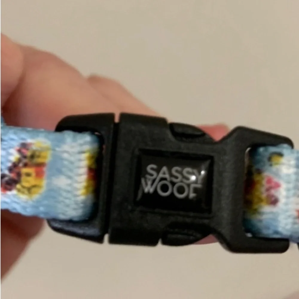 Sassy Woof Disney Winnie The Pooh Dog Collar Size XS Blue Pooh Bear